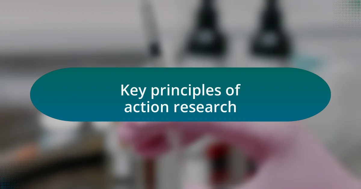 Key principles of action research
