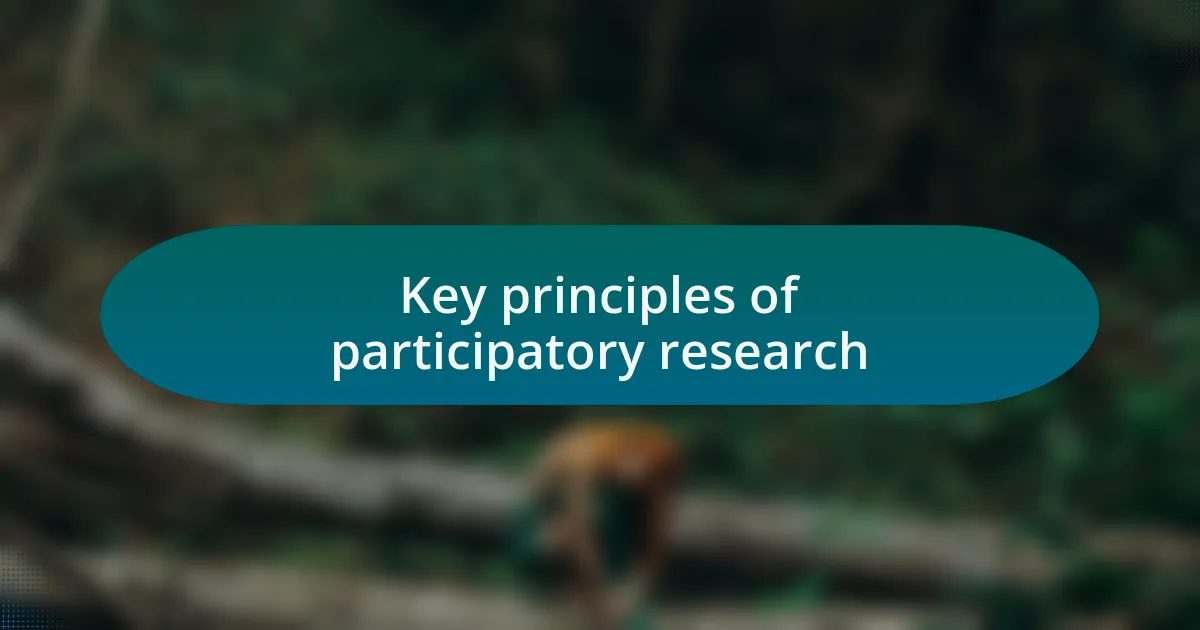 Key principles of participatory research
