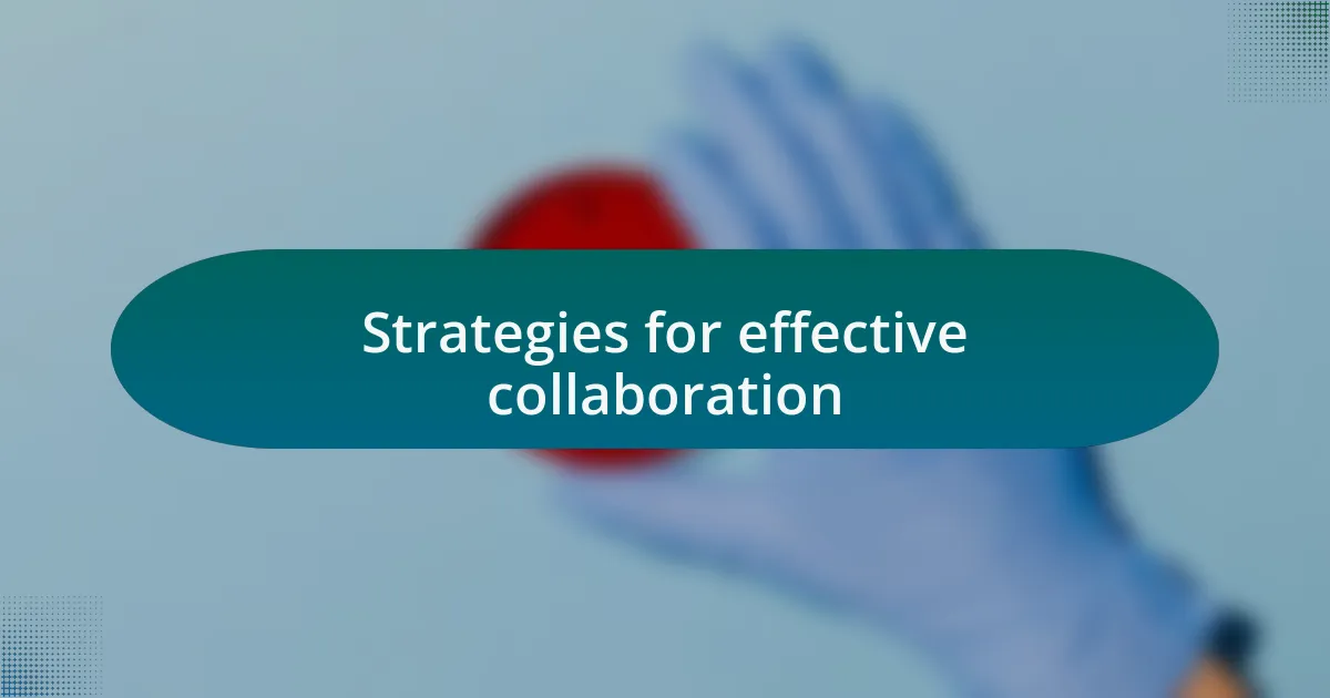 Strategies for effective collaboration