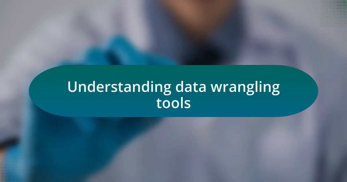 Understanding data wrangling tools