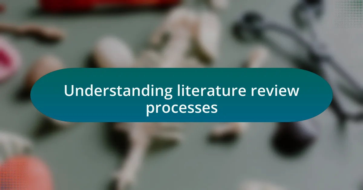 Understanding literature review processes