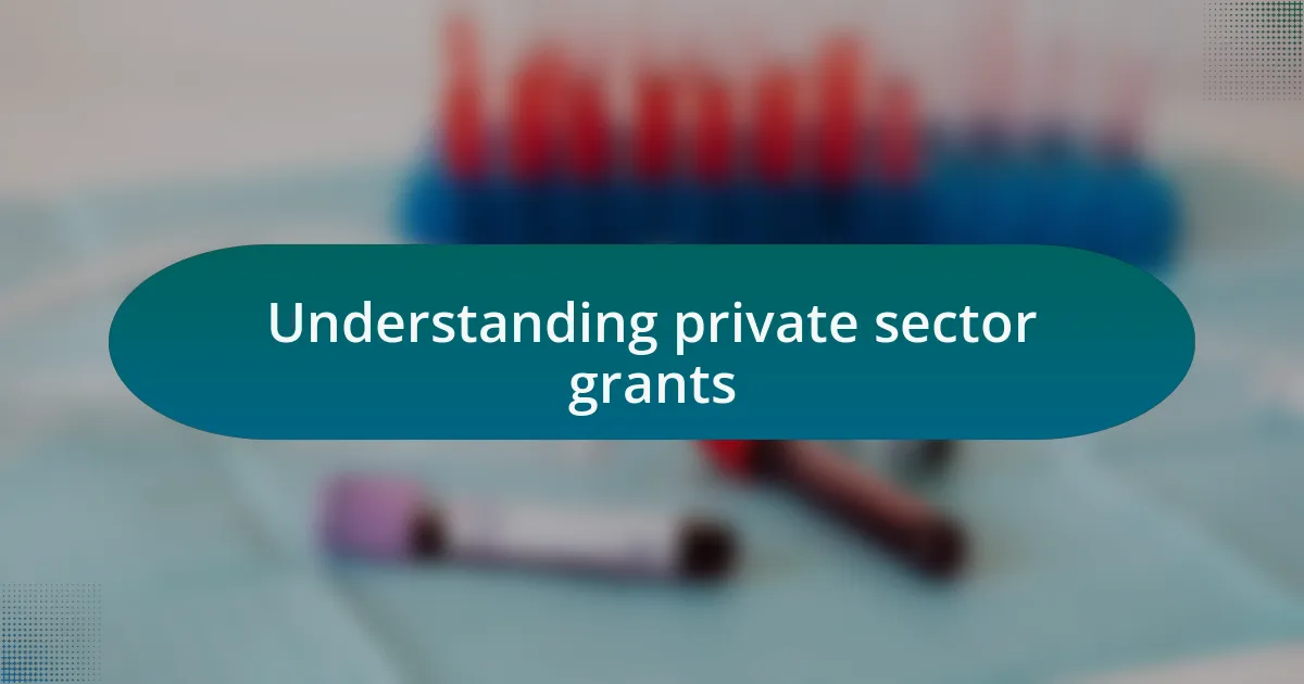 Understanding private sector grants